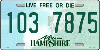 NH license plate 1037875