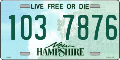 NH license plate 1037876