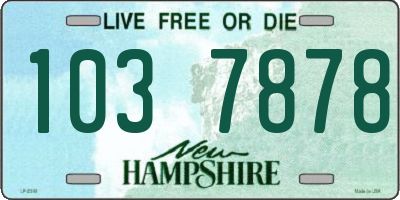 NH license plate 1037878