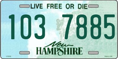 NH license plate 1037885