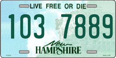 NH license plate 1037889
