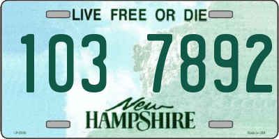 NH license plate 1037892