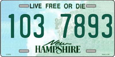 NH license plate 1037893