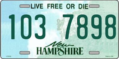 NH license plate 1037898