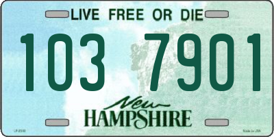 NH license plate 1037901