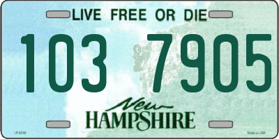 NH license plate 1037905