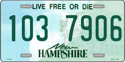 NH license plate 1037906
