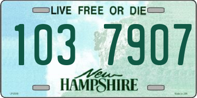 NH license plate 1037907