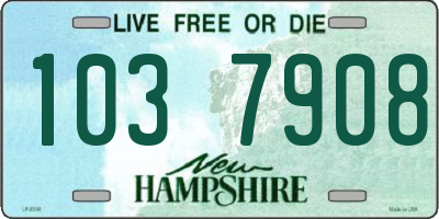 NH license plate 1037908