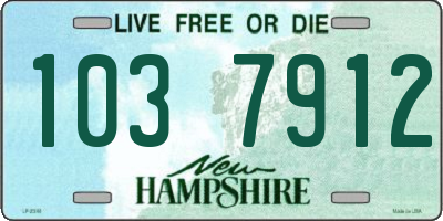 NH license plate 1037912