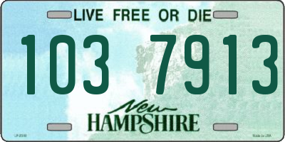NH license plate 1037913