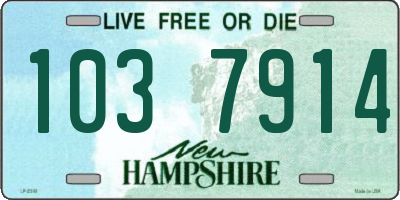 NH license plate 1037914