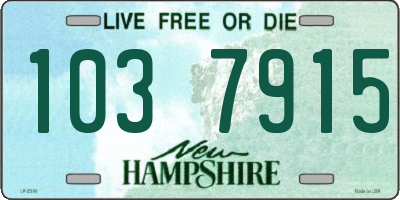 NH license plate 1037915