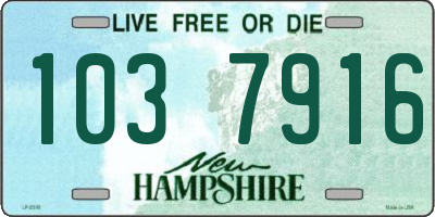 NH license plate 1037916