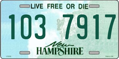 NH license plate 1037917