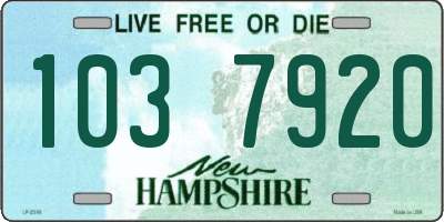 NH license plate 1037920