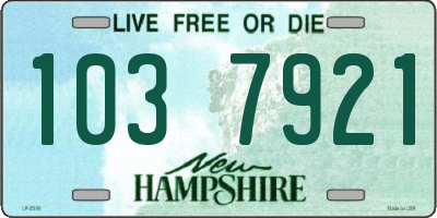 NH license plate 1037921