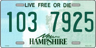 NH license plate 1037925