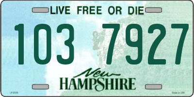 NH license plate 1037927