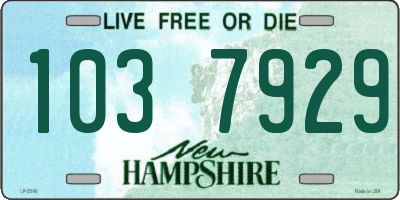 NH license plate 1037929