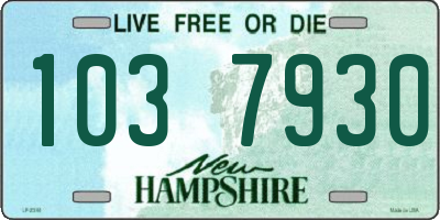 NH license plate 1037930