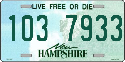NH license plate 1037933