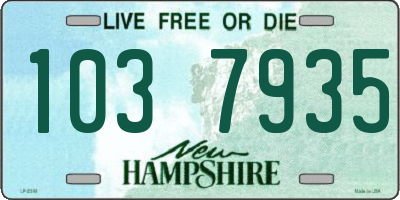 NH license plate 1037935