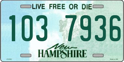 NH license plate 1037936