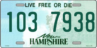 NH license plate 1037938