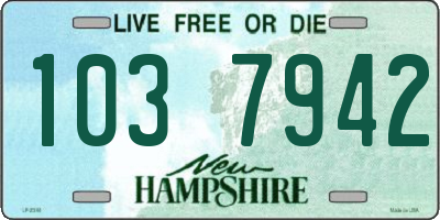 NH license plate 1037942