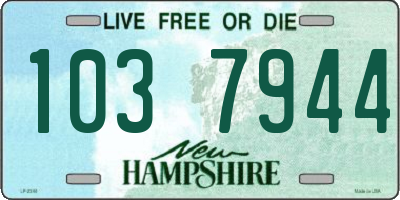 NH license plate 1037944