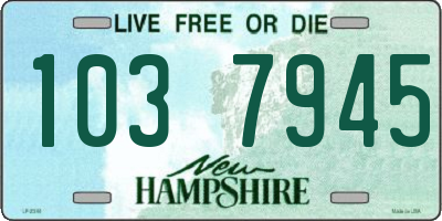 NH license plate 1037945