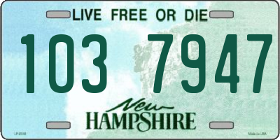 NH license plate 1037947