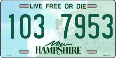 NH license plate 1037953