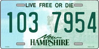 NH license plate 1037954