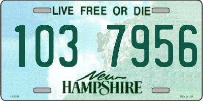NH license plate 1037956