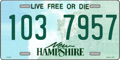 NH license plate 1037957