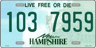 NH license plate 1037959