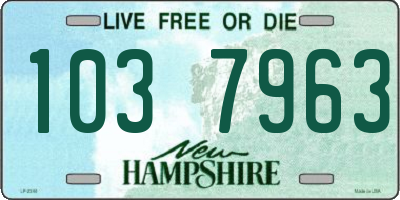 NH license plate 1037963