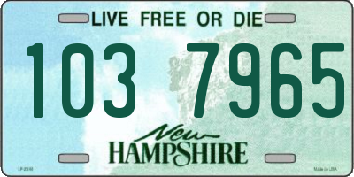 NH license plate 1037965