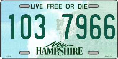 NH license plate 1037966