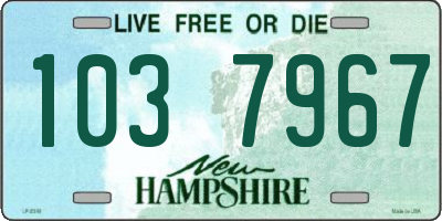 NH license plate 1037967