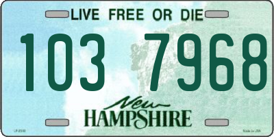 NH license plate 1037968