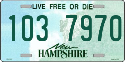 NH license plate 1037970