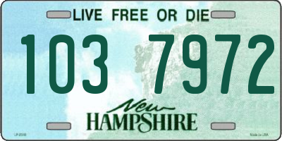 NH license plate 1037972