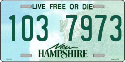 NH license plate 1037973