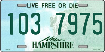 NH license plate 1037975