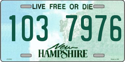 NH license plate 1037976