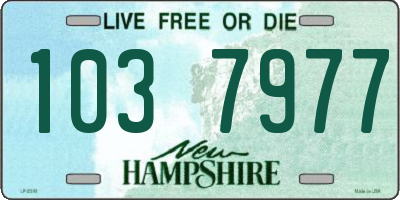 NH license plate 1037977