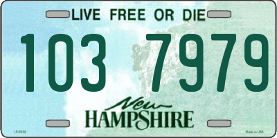 NH license plate 1037979